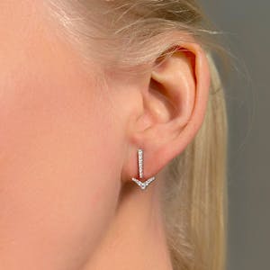Arrow ear portait