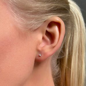 Pointu petite stud portrait