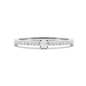 Trevi pave WG
