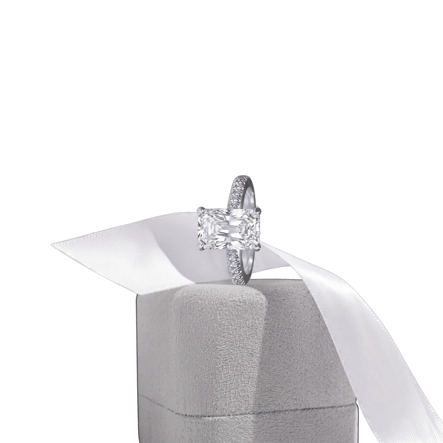 Paris pavé Radiant WG