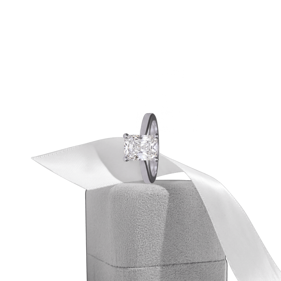 Paris pure radiant WG