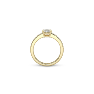 Rome Pavé Oval White Dia 5