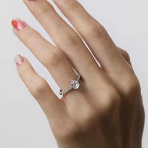 Paris pave pear 3