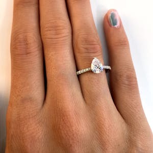 Paris pave pear