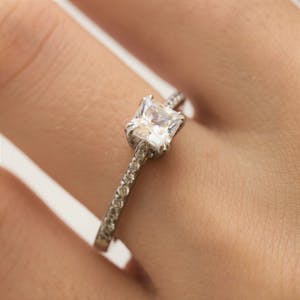 Paris pave princess 2