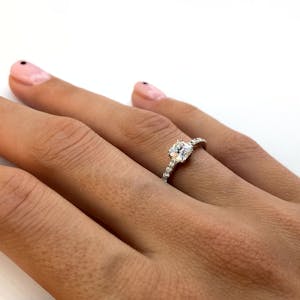 Paris pave princess