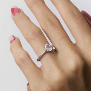 Paris pure pear 2