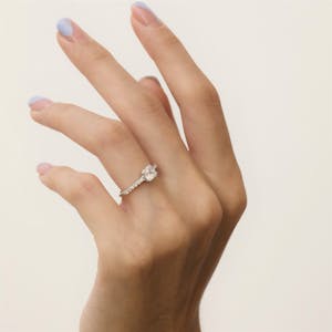 Rome pave princess 3
