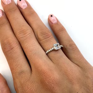 Rome pave princess